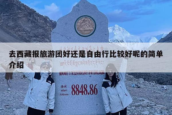 去西藏报旅游团好还是自由行比较好呢的简单介绍