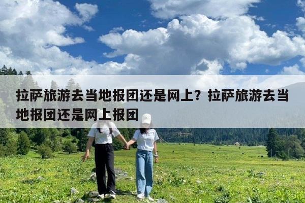 拉萨旅游去当地报团还是网上?拉萨旅游去当地报团还是网上报团