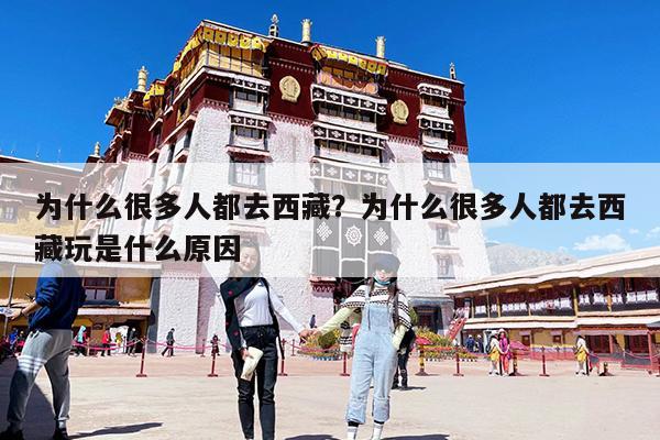 为什么很多人都去西藏?为什么很多人都去西藏玩是什么原因