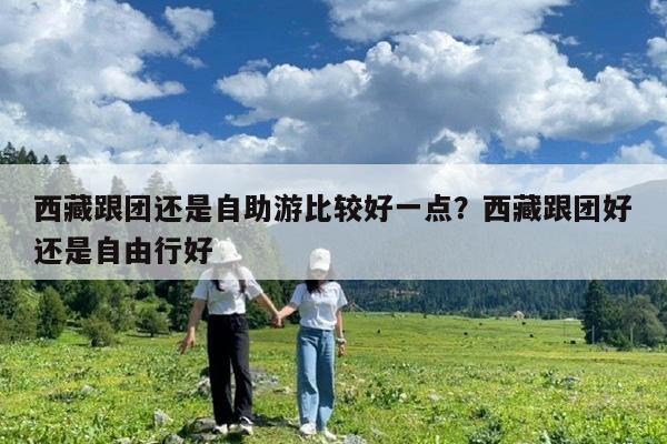 西藏跟团还是自助游比较好一点?西藏跟团好还是自由行好