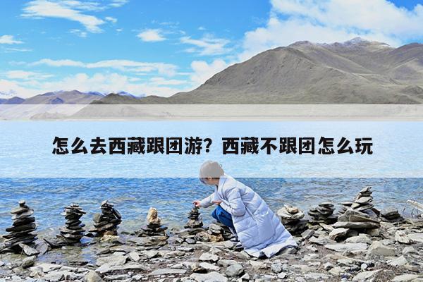 怎么去西藏跟团游?西藏不跟团怎么玩