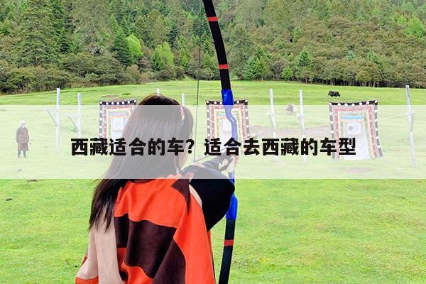 西藏适合的车?适合去西藏的车型