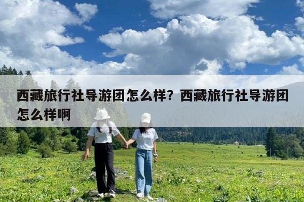 西藏旅行社导游团怎么样?西藏旅行社导游团怎么样啊