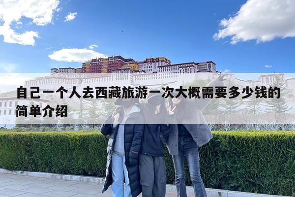 自己一个人去西藏旅游一次大概需要多少钱的简单介绍