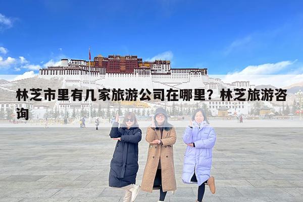 林芝市里有几家旅游公司在哪里?林芝旅游咨询