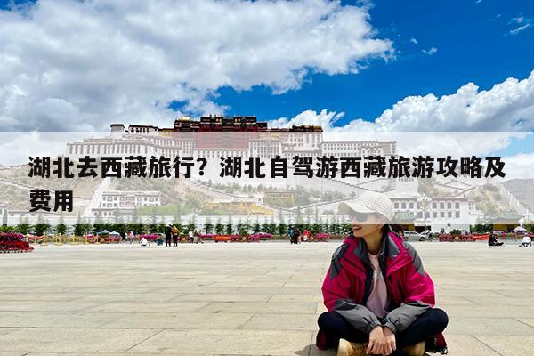 湖北去西藏旅行?湖北自驾游西藏旅游攻略及费用