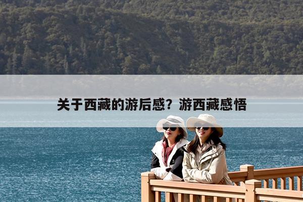 关于西藏的游后感?游西藏感悟