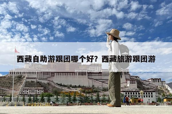西藏自助游跟团哪个好?西藏旅游跟团游