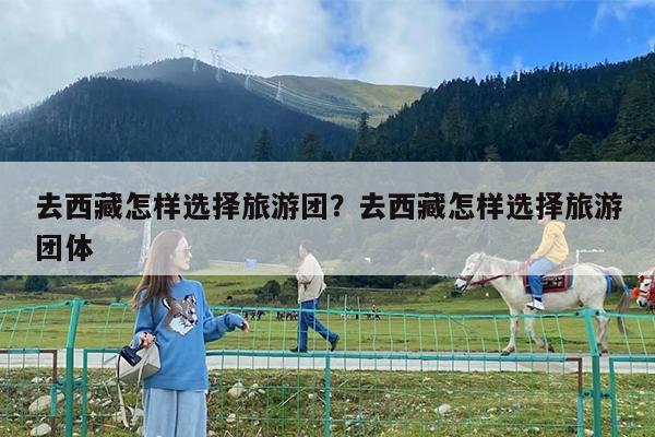 去西藏怎样选择旅游团?去西藏怎样选择旅游团体