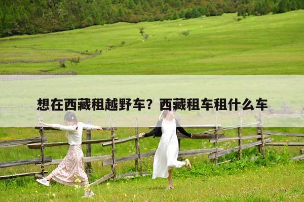 想在西藏租越野车?西藏租车租什么车