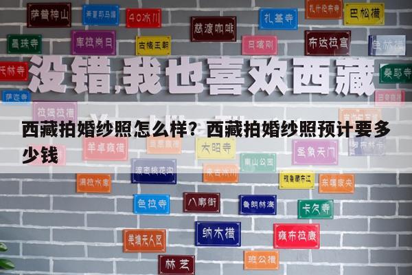 西藏拍婚纱照怎么样?西藏拍婚纱照预计要多少钱