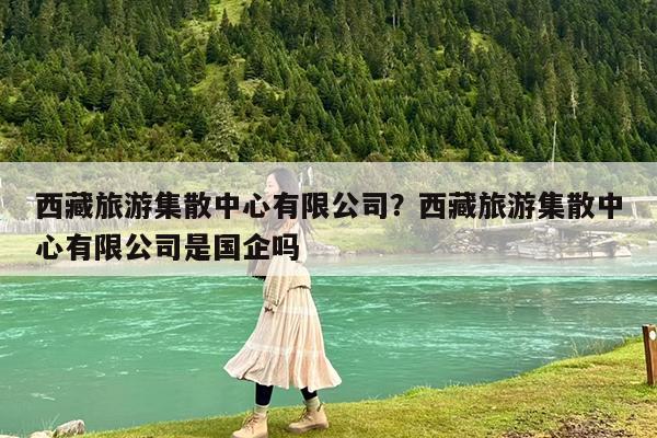 西藏旅游集散中心有限公司?西藏旅游集散中心有限公司是国企吗