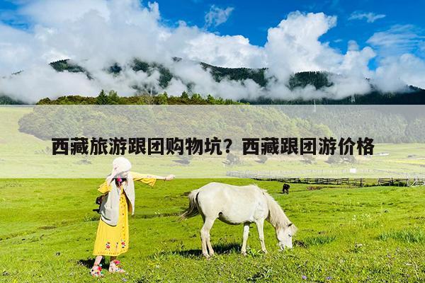 西藏旅游跟团购物坑?西藏跟团游价格