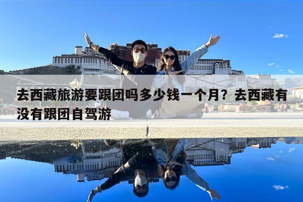 去西藏旅游要跟团吗多少钱一个月?去西藏有没有跟团自驾游