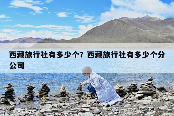 西藏旅行社有多少个?西藏旅行社有多少个分公司