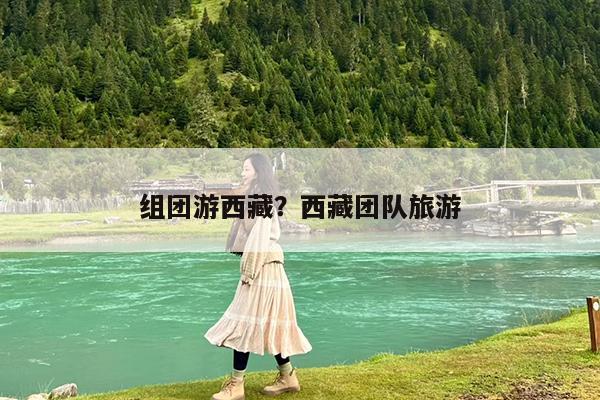 组团游西藏?西藏团队旅游