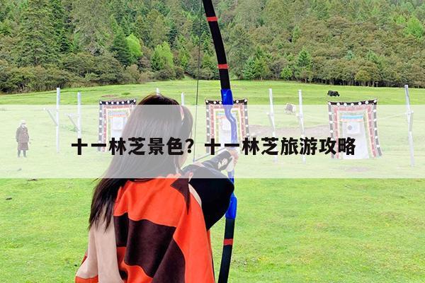 十一林芝景色?十一林芝旅游攻略