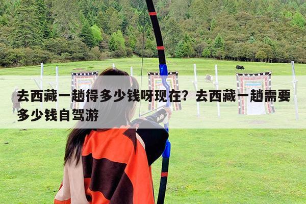 去西藏一趟得多少钱呀现在?去西藏一趟需要多少钱自驾游