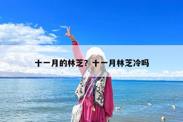 十一月的林芝?十一月林芝冷吗