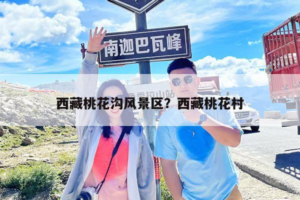 西藏桃花沟风景区?西藏桃花村