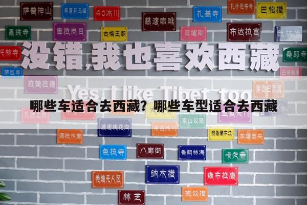 哪些车适合去西藏?哪些车型适合去西藏