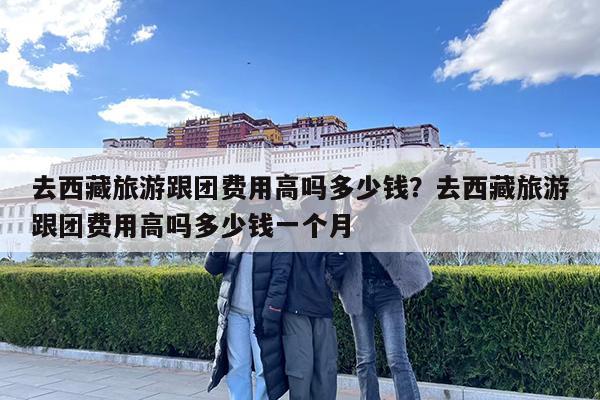 去西藏旅游跟团费用高吗多少钱?去西藏旅游跟团费用高吗多少钱一个月