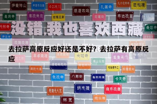 去拉萨高原反应好还是不好?去拉萨有高原反应