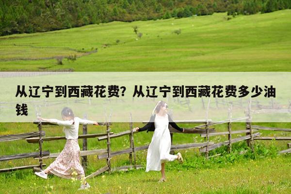 从辽宁到西藏花费?从辽宁到西藏花费多少油钱