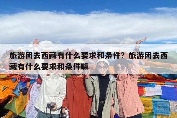 旅游团去西藏有什么要求和条件?旅游团去西藏有什么要求和条件嘛