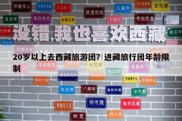 20岁以上去西藏旅游团?进藏旅行团年龄限制