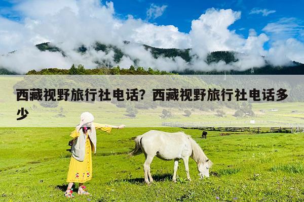 西藏视野旅行社电话?西藏视野旅行社电话多少