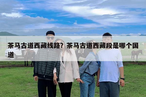 茶马古道西藏线路?茶马古道西藏段是哪个国道