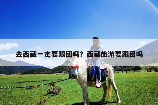 去西藏一定要跟团吗?西藏旅游要跟团吗