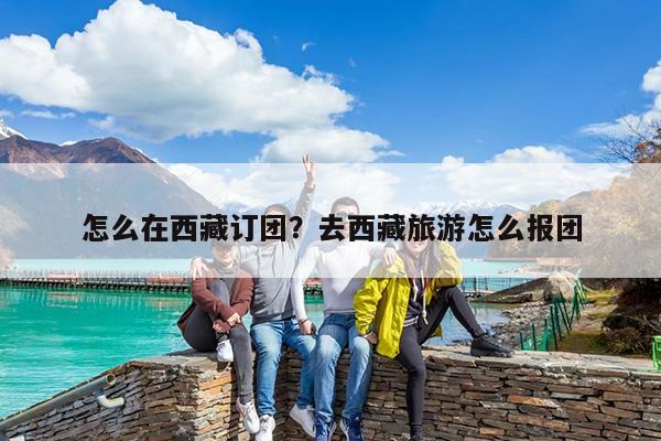 怎么在西藏订团?去西藏旅游怎么报团