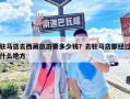 驻马店去西藏旅游要多少钱？去驻马店都经过什么地方
