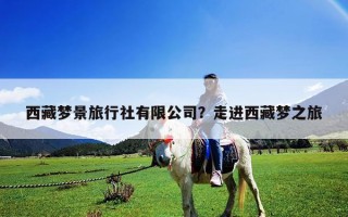 西藏梦景旅行社有限公司？走进西藏梦之旅