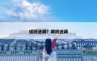 组团进藏？跟团进藏