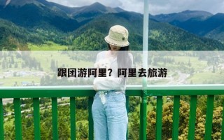 跟团游阿里？阿里去旅游
