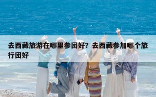 去西藏旅游在哪里参团好？去西藏参加哪个旅行团好