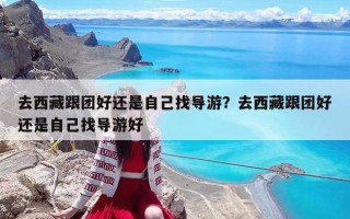 去西藏跟团好还是自己找导游？去西藏跟团好还是自己找导游好