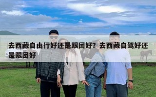 去西藏自由行好还是跟团好？去西藏自驾好还是跟团好