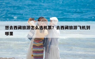 想去西藏旅游怎么选机票？去西藏旅游飞机到哪里