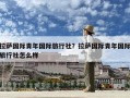 拉萨国际青年国际旅行社？拉萨国际青年国际旅行社怎么样