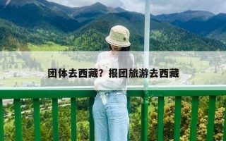 团体去西藏？报团旅游去西藏