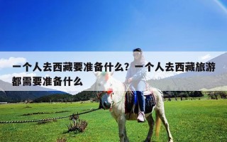 一个人去西藏要准备什么？一个人去西藏旅游都需要准备什么