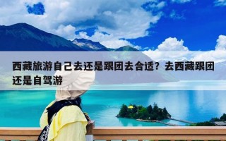 西藏旅游自己去还是跟团去合适？去西藏跟团还是自驾游