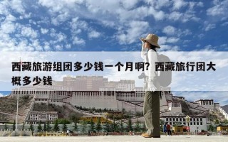 西藏旅游组团多少钱一个月啊？西藏旅行团大概多少钱
