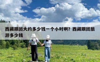 西藏跟团大约多少钱一个小时啊？西藏跟团旅游多少钱