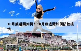 10月底进藏如何？10月底进藏如何防控疫情