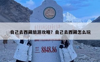 自己去西藏旅游攻略？自己去西藏怎么玩